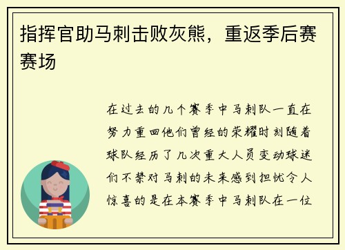 指挥官助马刺击败灰熊，重返季后赛赛场